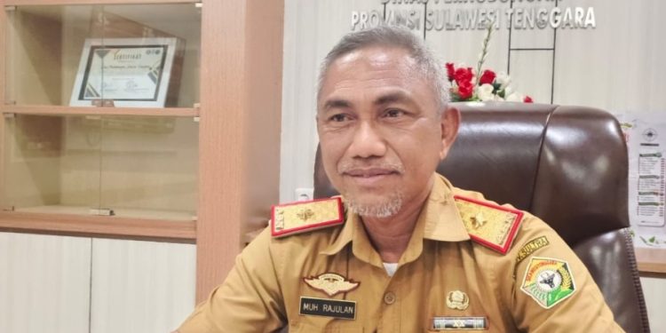 Realiasi PAD Dishub Sultra Capai Rp 11 Miliar
