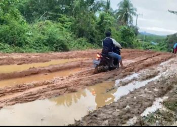 Akses Jalan Langgapulu-Namu Memprihatinkan