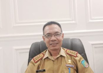 Pemkab Konsel Bakal Rekrut 239 CPNS Tahun Ini, Seleksi Dimulai Agustus