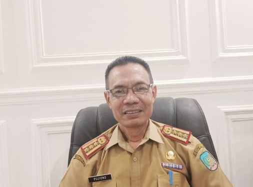 Pemkab Konsel Bakal Rekrut 239 CPNS Tahun Ini, Seleksi Dimulai Agustus