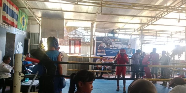 Jelang Pra Popnas 2024, Pertina Sultra Mulai Seleksi Atlet