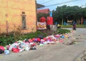 IPMA Konsel Soroti Kinerja DLH Terkait Penanganan Sampah