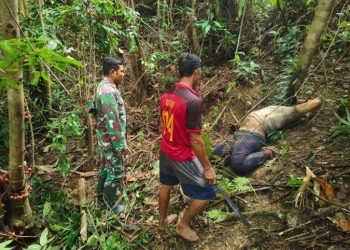 Lima Hari Hilang, Seorang Guru di Butur Ditemukan Tewas di Hutan