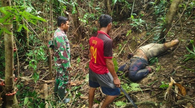 Lima Hari Hilang, Seorang Guru di Butur Ditemukan Tewas di Hutan