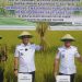Bupati Irham Dorong Petani Milenial Wujudkan Swasembada Pangan Nasional