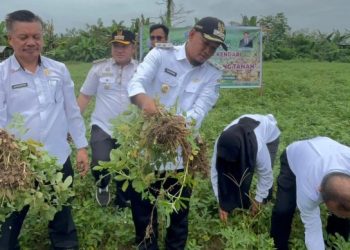 Wakil Walikota Sudirman Dorong Komoditi Kelompok Tani Lebih Meningkat, Bantuan Bibit Bakal Disiapkan