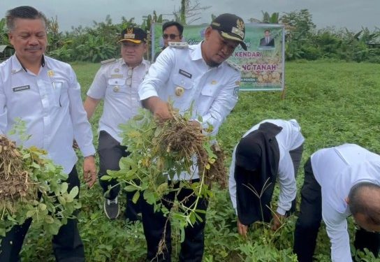 Wakil Walikota Sudirman Dorong Komoditi Kelompok Tani Lebih Meningkat, Bantuan Bibit Bakal Disiapkan
