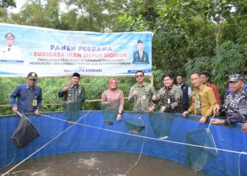 Pemkot Kendari Panen Perdana Budidaya Ikan Sistem Bioflok