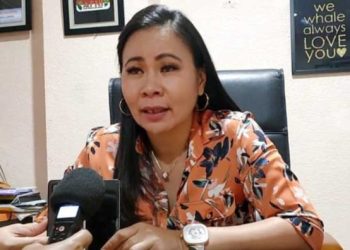 APNI Sebut Aktivitas PT. Ifishdeco Sudah Sesuai Regulasi Pertambangan