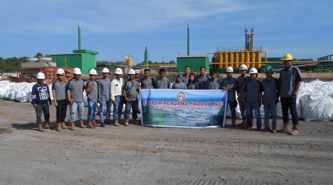 Sempat Produksi dan 2 Kali Ekspor NPI, Ini Alasan Smelter Ifishdeco Tidak Beroperasi Lagi