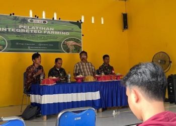Mahasiswa KKN-IAIN Kendari Bersama JUARA Foundation Dorong Ketahanan Pangan Keluarga Melalui Pelatihan Integrated Farming