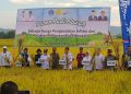 Walikota Kendari Siska Serahkan Bantuan Alsintan dan Panen Padi Sawah di Amohalo Kecamatan Baruga