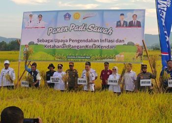 Walikota Kendari Siska Serahkan Bantuan Alsintan dan Panen Padi Sawah di Amohalo Kecamatan Baruga