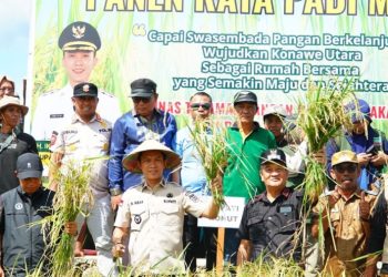 Bupati Konawe Utara Ikbar Pimpin Panen Raya Padi Sawah 135 Hektar di Desa Matanggonawe