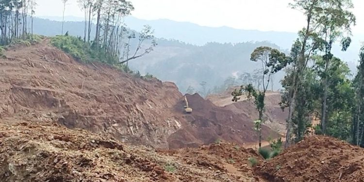 PT SBP Diduga Masih Menambang Bebas di Kawasan Hutan Luar Area IPPKH