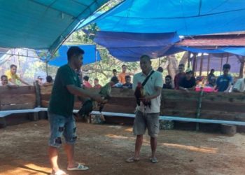 Judi Sambung Ayam Warnai Pesta Panen Desa Bente Diduga Kades Pungut Cukai