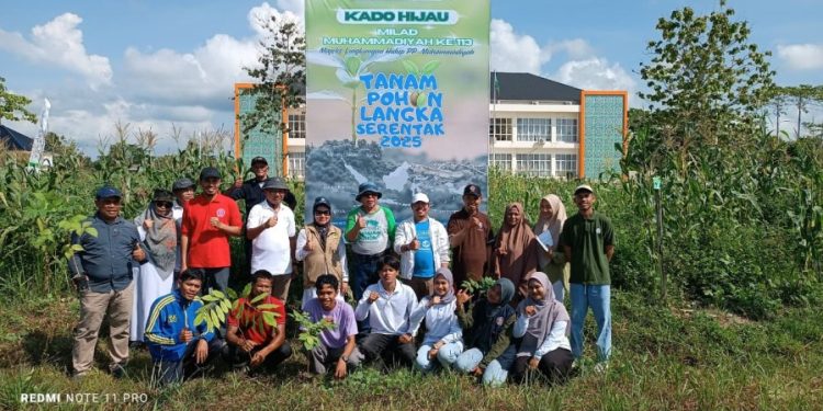 Kado Hijau Milad ke-113: Majelis LH Muhammadiyah Sultra Tanam 50 Pohon Endemik di Kendari