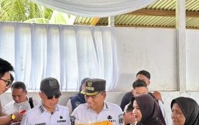 Kolaborasi Gubernur Sultra dan Bupati Konsel Tunaikan Instruksi Presiden Wujudkan Ketahanan Pangan Nasional