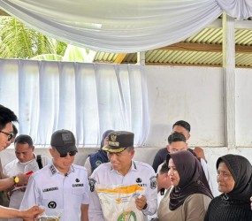 Kolaborasi Gubernur Sultra dan Bupati Konsel Tunaikan Instruksi Presiden Wujudkan Ketahanan Pangan Nasional