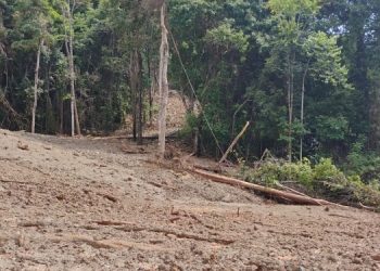 Sumber Mata Air Tertimbun Longsor, Delapan Desa di Kabaena Terancam Krisis Air Bersih