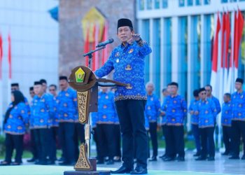 Pimpin Upacara HKN, Wagub Sultra Beri Pesan Soal Tugas dan Kesadaran ASN