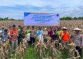 Meniupkan Nyawa di Tanah Terbengkalai, Asa Baru Petani Tondowolio
