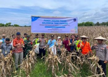 Meniupkan Nyawa di Tanah Terbengkalai, Asa Baru Petani Tondowolio