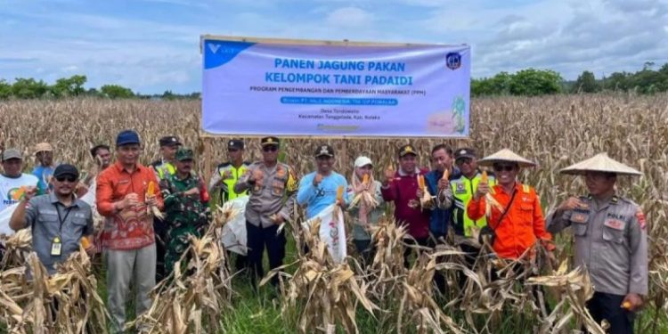 Meniupkan Nyawa di Tanah Terbengkalai, Asa Baru Petani Tondowolio