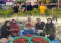 Menumbuhkan Kemandirian dari Desa, Upaya ANTAM Memberdayakan Petani di Konawe Utara