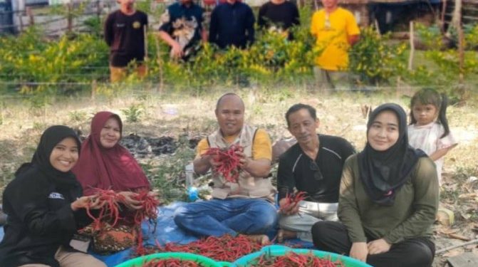 Menumbuhkan Kemandirian dari Desa, Upaya ANTAM Memberdayakan Petani di Konawe Utara